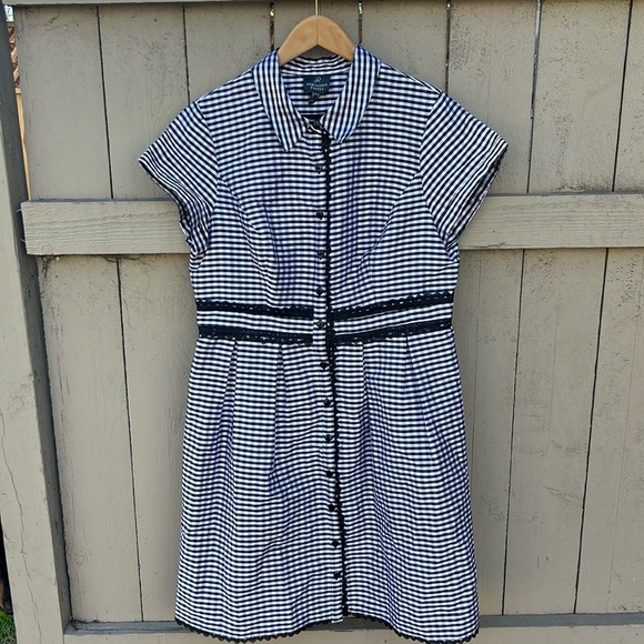 Adrianna Papell Dresses & Skirts - Adrianna Papell Gingham Taffeta Shirt Dress Size 14 Beetlejuice Rockabilly Pi…